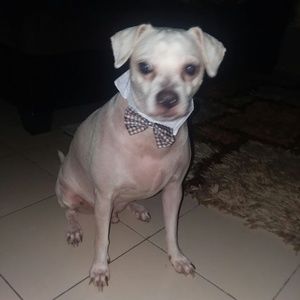 Meet your Posher, Rossana